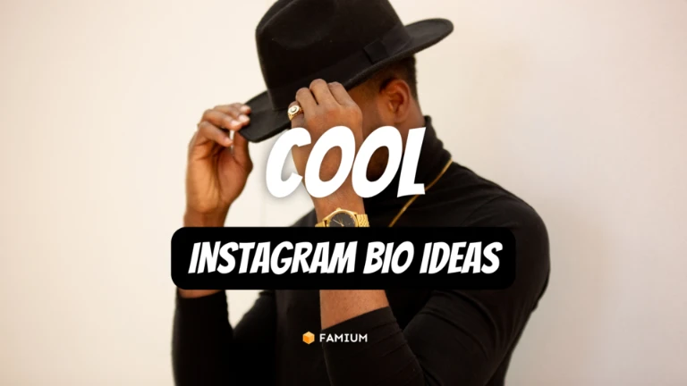 Cool Instagram Bio Ideas